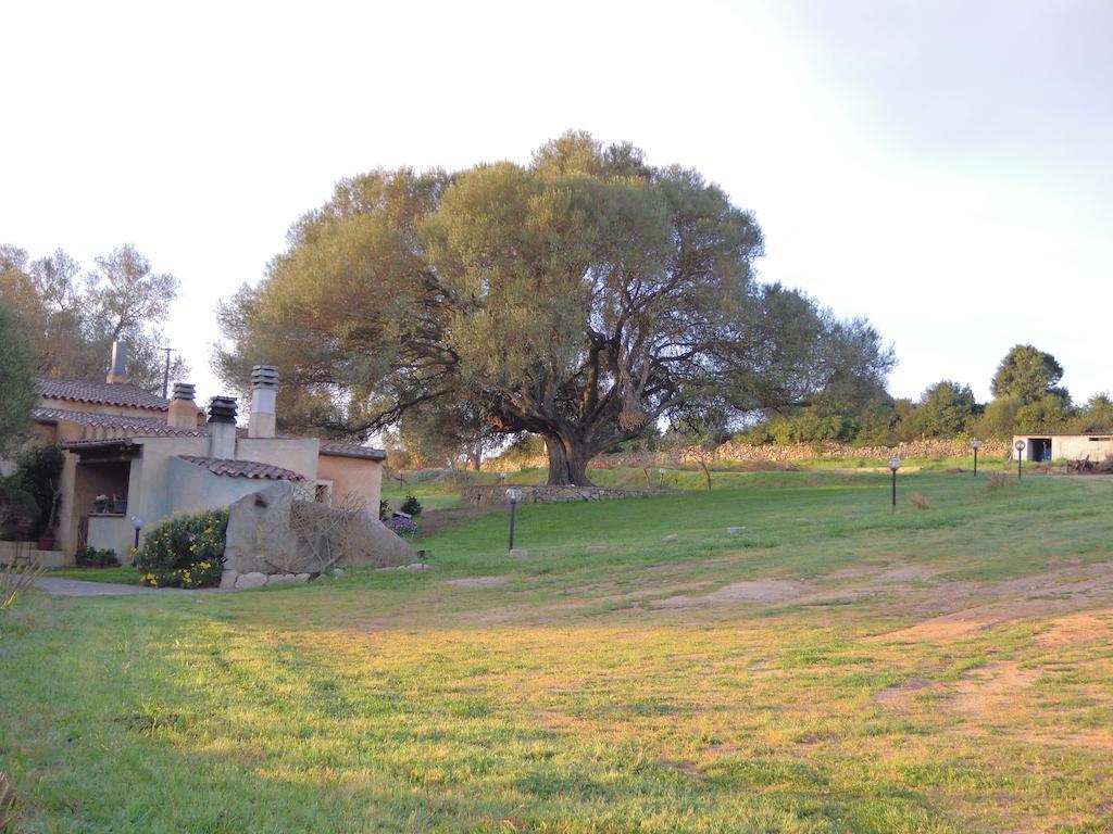 阿尔扎凯纳 Agriturismo Candela酒店 外观 照片